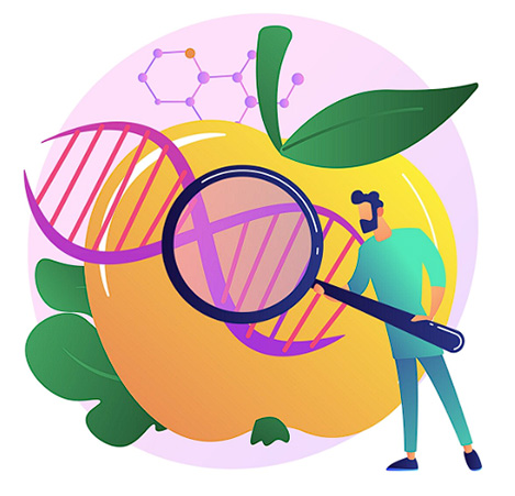Coach en Nutrición | Epigenetica Nutricional